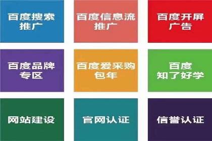 案例分析：高效信息流广告投放策略